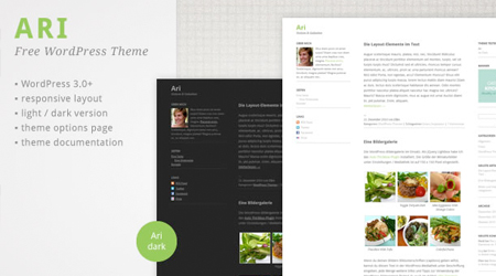theme-responsive-wordpress-ari