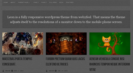 theme-responsive-wordpress-leon