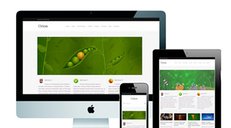 theme-responsive-wordpress-orion