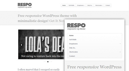 theme-responsive-wordpress-respo