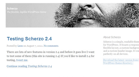 theme-responsive-wordpress-scherzo