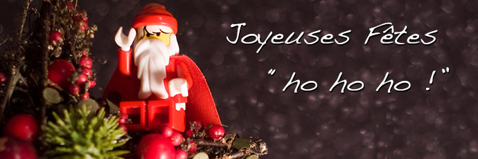 Joyeuses fêtes 2012