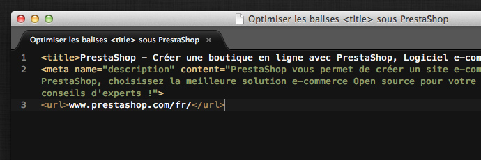 Optimisez les balises meta title dans PrestaShop