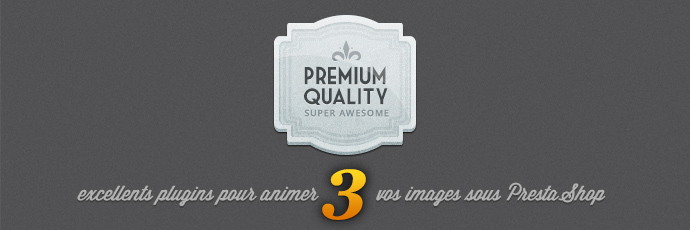 3 excellents plugins pour animer vos images dans PrestaShop