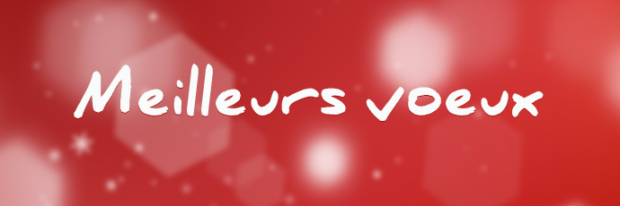 Meilleurs voeux 2014