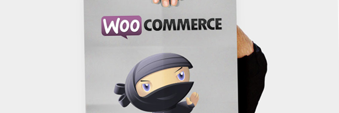 5 magnifiques astuces WooCommerce #5