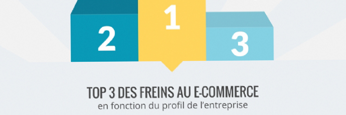 Infographie e-commerce : la rentabilité, principal frein au lancement d'une activité e-commerce