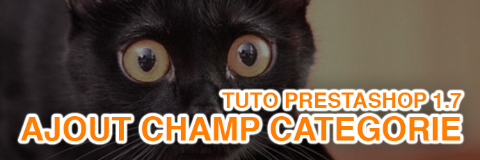 [PrestaShop 1.7] Ajouter un champ à une catégorie