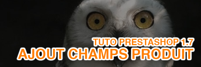 [PrestaShop 1.7] Ajouter des champs texte aux produits