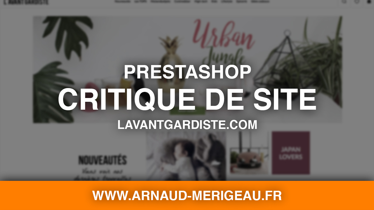Critique de site PrestaShop : Lavantgardiste.com
