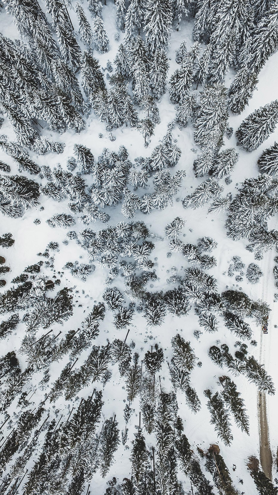 photo-drone-2