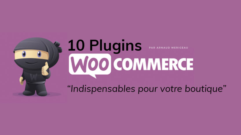 10-plugins-woocommerce-indispensables-pour-votre-boutique-wordpress-2