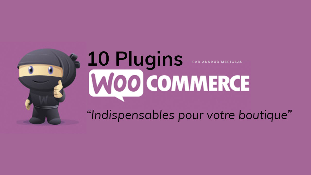 10 Plugins WooCommerce indispensables pour votre boutique WordPress #2